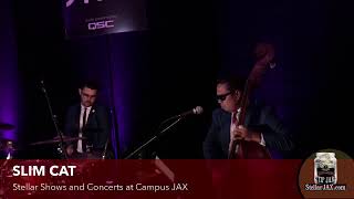 Slim Cat Christopher Burkhardts Eclectic American Roots Artist Showcase By Stellarjax