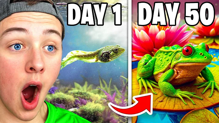 Reacting To Raising TADPOLES to FROGS (50 Day Evolution)