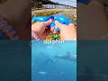 Learn at the Pier | Sea Animal Names for Kids: Narwhal Guitarfish Dolphin Seal Manta Ray