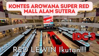 Kontes AROWANA SUPER RED @Mall Alam Sutera || IDC 3 || RED LEWIN ikut berpartisipasi