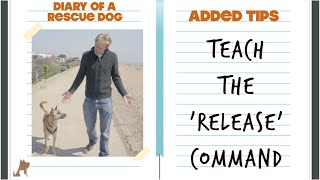 Teach the release command - dog training by Nigel Reed 5,039 views 2 years ago 1 minute, 40 seconds