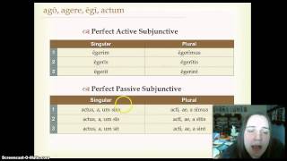 Ch. 30: Perf./Pluperf. Subjunctive, Indirect Question