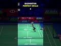 Perfect Skills in Badminton