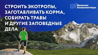 Для сильных духом: всё о заповедном волонтёрстве | Урок 5 | Дневник волонтёра