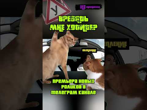 ВРЕЗАТЬ МНЕ ХОТИТЕ #Shorts #автошкола #Ставрополь