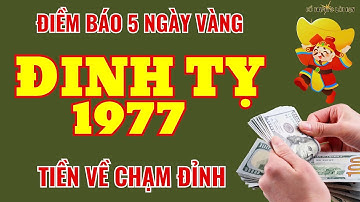 Khổ Mấy Cũng Giàu, Tuổi Đinh Tỵ 1977: Đúng 5 Ngày Lộc Lớn, Tài Sản Chạm Đỉnh!
