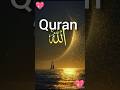 Al Quran Urdu translations #qurantilawat #quran #viral #shortvideo #trending