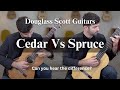 Can you hear the difference  cedar vs spruce  classical guitars by douglass scott