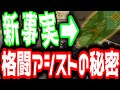 格闘アシストの秘密！？優位に立てる格闘は○○に打て！エイムアシストCの人重大発表！