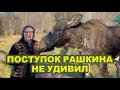 Поступок Рашкина не удивил