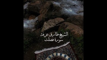 سورة فصلت من قيام رمضان ١٤٤٦_ طارق يوسف عرفة