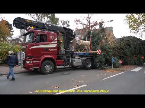 Herford - 29. Oktober 2022 - Lutherstraße - Weihnachtsbaum für das Weihnachtslicht @simabi2