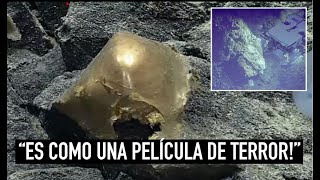 ENCUENTRAN HUEVO DE ORO EN EL FONDO DEL MAR