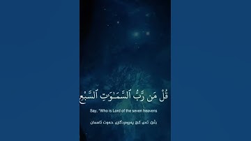 اكتب شيء تؤجر عليه ❤️‍🩹❤️‍🩹سورة المؤمنين القارى ياسر الدوسري ❤️‍🩹