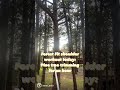 Forest Fit Functional Workout