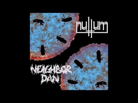 NULLUM - split with Neighbor Dan SPLIT [FULL ALBUM] 2023  **including lyrics**