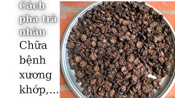 Chia sẻ cách pha trà trái Nhàu uống chữa bệnh (Xương khớp nhức mỏi, cao huyết áp,...)