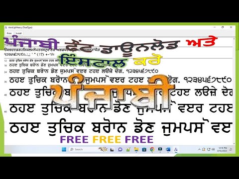 Punjabi Font Download & Install in Computer and Laptop || Free Free