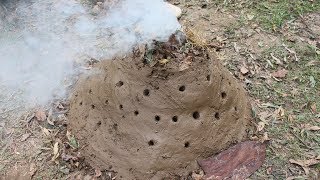 Primitive Technology: Make charcoal by primitive technology