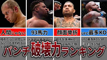 最強の 破壊力 ヘビー級ファイターパンチの強さランキングTOP10 MMA 格闘技 