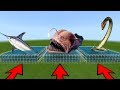 DO NOT CHOOSE THE WRONG POOL in Minecraft PE (Swordfish, Angler Fish & Anaconda) | MCPE Journalist