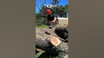 Horizontal Pinch in the Chunk Clean UP Husqvarna 562XP Chainsaw  #husqvarna #chainsaw #shorts