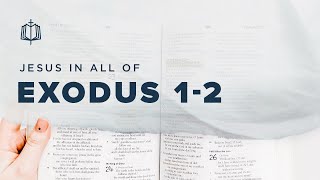 SUFFERING IN EGYPT | Bible Study | Jesus In All of Exodus 1-2