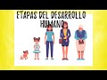 Etapas del desarrollo humano ( video educativo)