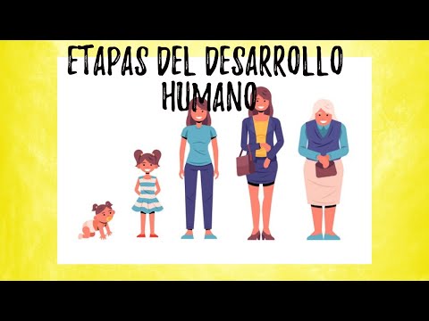 Vídeo: Comprender Las Etapas Del Desarrollo Infantil