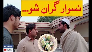 Naswar Gran Shwa New Funny Video By Late But Tait 2021 Tllaqa Sarrey Newal Ghwarry