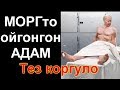 МОРГто ойгонгон АДАМ. Укмуштар Тв шумдук видео тез коргуло