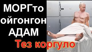 МОРГто ойгонгон АДАМ. Укмуштар Тв шумдук видео тез коргуло