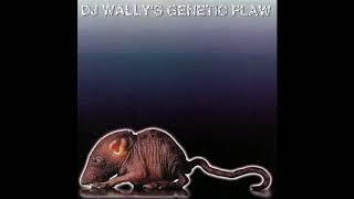 Dj Wally - Ridiculous Sound