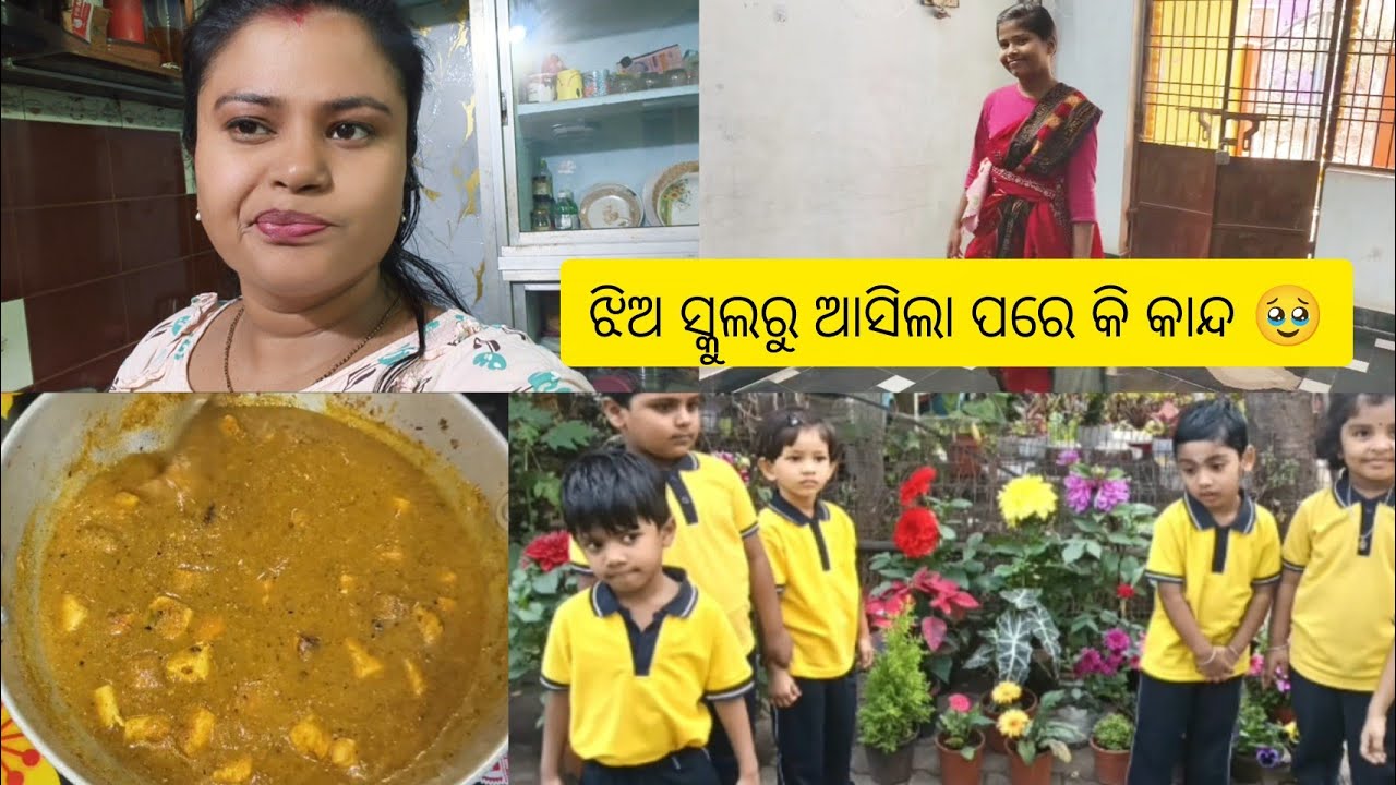  ପିଲାମାନଙ୍କ ପାଇଁ ହିଁ ବଞ୍ଚିଛି 🥹 ଆଜି ସାୟୂ ଗଲା ପିକନିକ୍ ତା ସ୍କୁଲରେ ❤ ଝିଅର କାନ୍ଦ ଏମିତି ହେଲା ତା ସହ🥹🥹