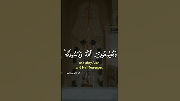 آيات بينات من الذكر الحكيم بصوت يريح القلب #اكسبلور #دويتو #المغرب #المصحف #راحة_نفسية