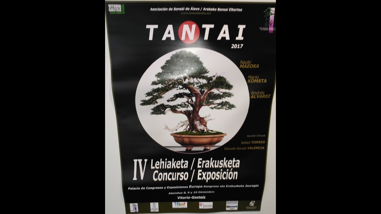 IV Concurso/Exposición Bonsái. Tantai 2017 Vitoria/Gasteiz