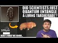 Study Claims Tardigrades Became First Quantum Entangled Animals