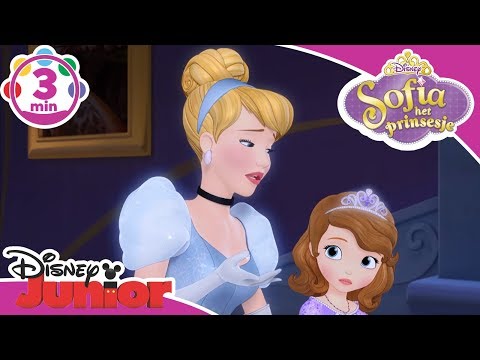 Video: Waar vind je Assepoester in Disney World - Disney Prinsessen