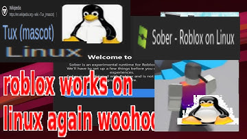 running roblox on linux again - a quick sober guide