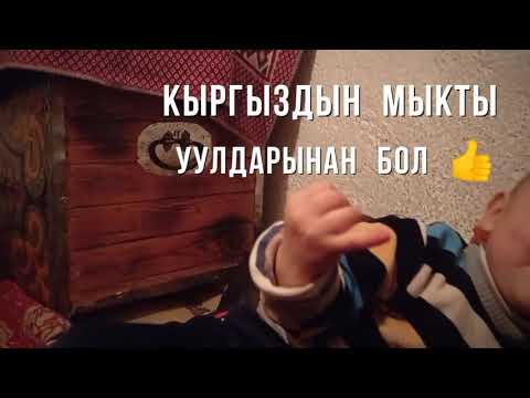 Video: Аюулар карышкырларды өлтүрүштү