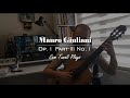 Mauro giuliani  op1  partiii  no1  cem tunal plays  classical guitar  guitar song 