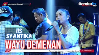 WAYU DEMENAN || IIS SYANTIKA (LIVE MUSIC OFFICIAL) DIAN PRIMA