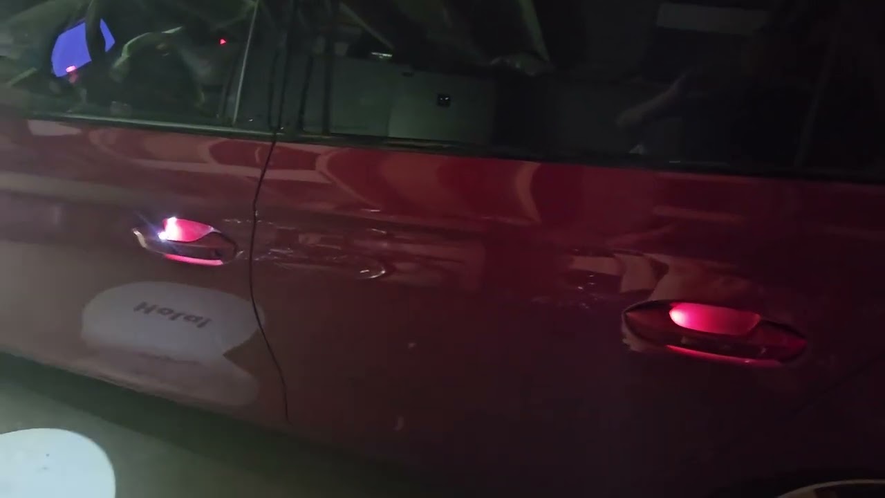 Door leds Seat Leon KL