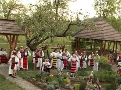 Nituca Iusco - Pasărea de primăvara