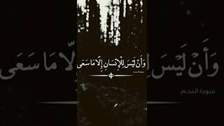 و أن ليس للإنسان إلا ما سعى - تدبر جيدا معنى الأية - أداء منفرد و رائع للشيخ أبو العينين شعيشع