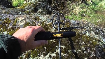 Pinpointer Testing - Garrett ProPointer vs Deteknix XPointer