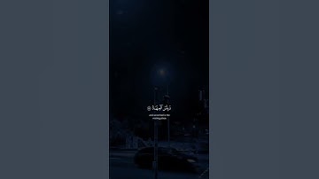 من أواخر سورة أل عمران/ لَا يَغُرَّنَّكَ تَقَلُّبُ ٱلَّذِينَ كَفَرُواْ فِي ٱلۡبِلَٰدِ ...🤍🥹