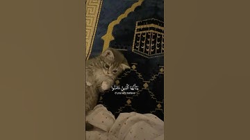 يا أَيُّهَا الَّذينَ آمَنُوا اذكُرُوا اللَّهَ ذِكرًا كَثيرًا |  ياسر الدوسري | سورة الأحزاب  #قرآن