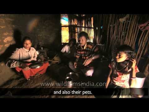 ვიდეო: როგორი იყო დაბლობზე მცხოვრები ინდიელების ცხოვრების წესი?
