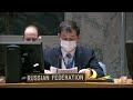 Д.А.Полянский на дебатах СБ ООН по ситуации на Ближнем Востоке, включая палестинский вопрос